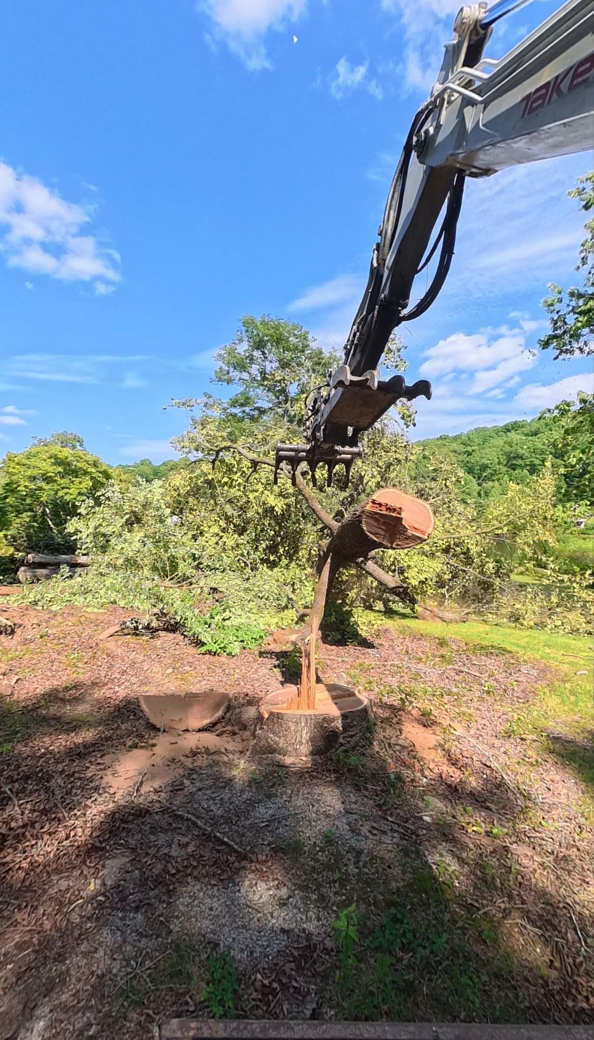 Gallery photos for Large Tree Removal Done Right - Equipment, Safety, and a Clean Property: Image #1