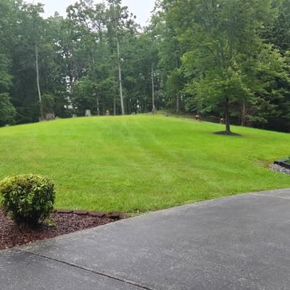 Lush green lawn surrounded by trees and a concrete driveway in a serene outdoor setting.