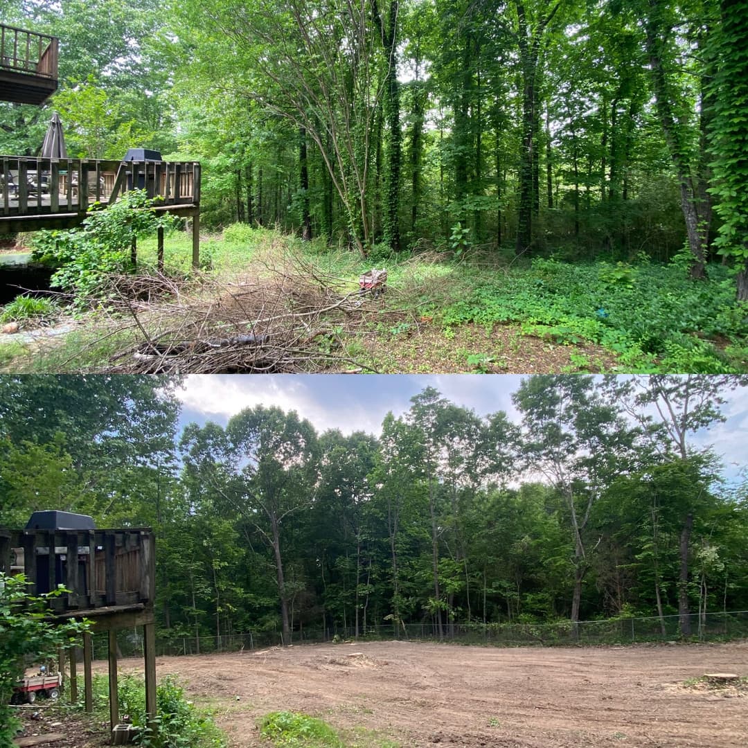 Before and after clearing of wooded area behind deck, showing trees and cleared ground.
