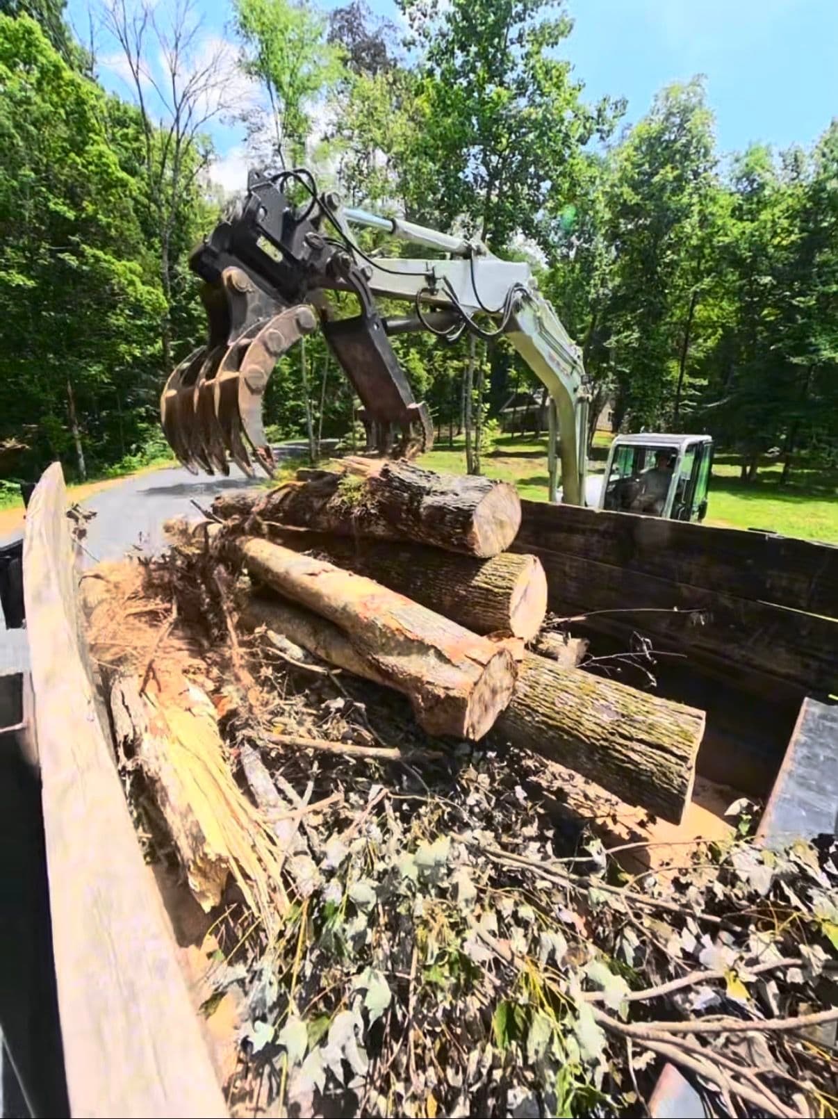 Land Clearing Done Right - Trees, Logs, and Brush All Handled
