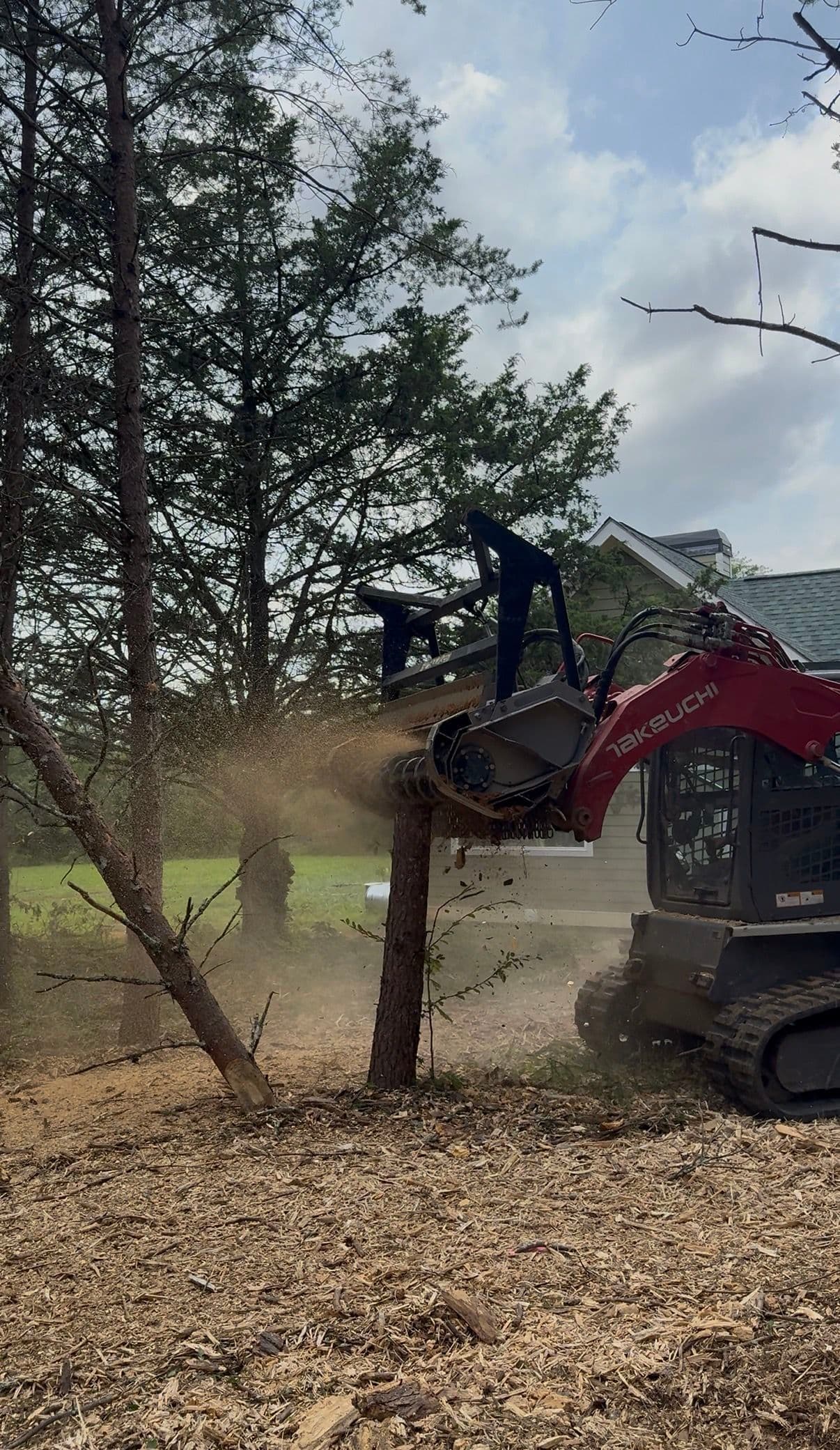 Forestry Mulching That Uncovers What Your Land Can Actually Be image