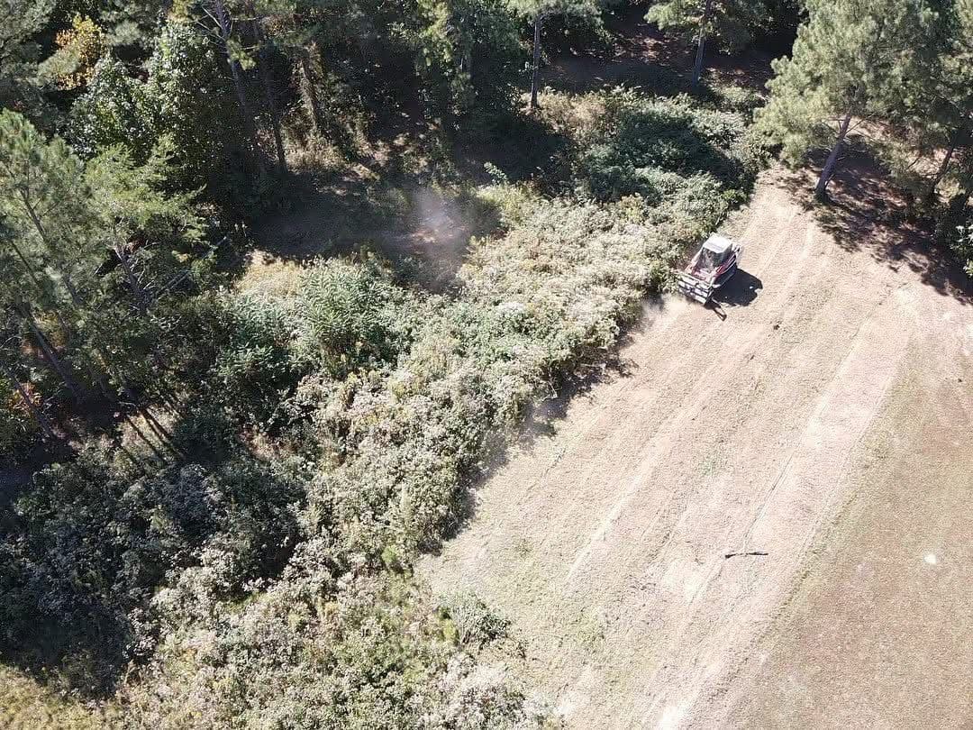 Forestry Mulching That Opens Up Overgrown Land Without the Mess image