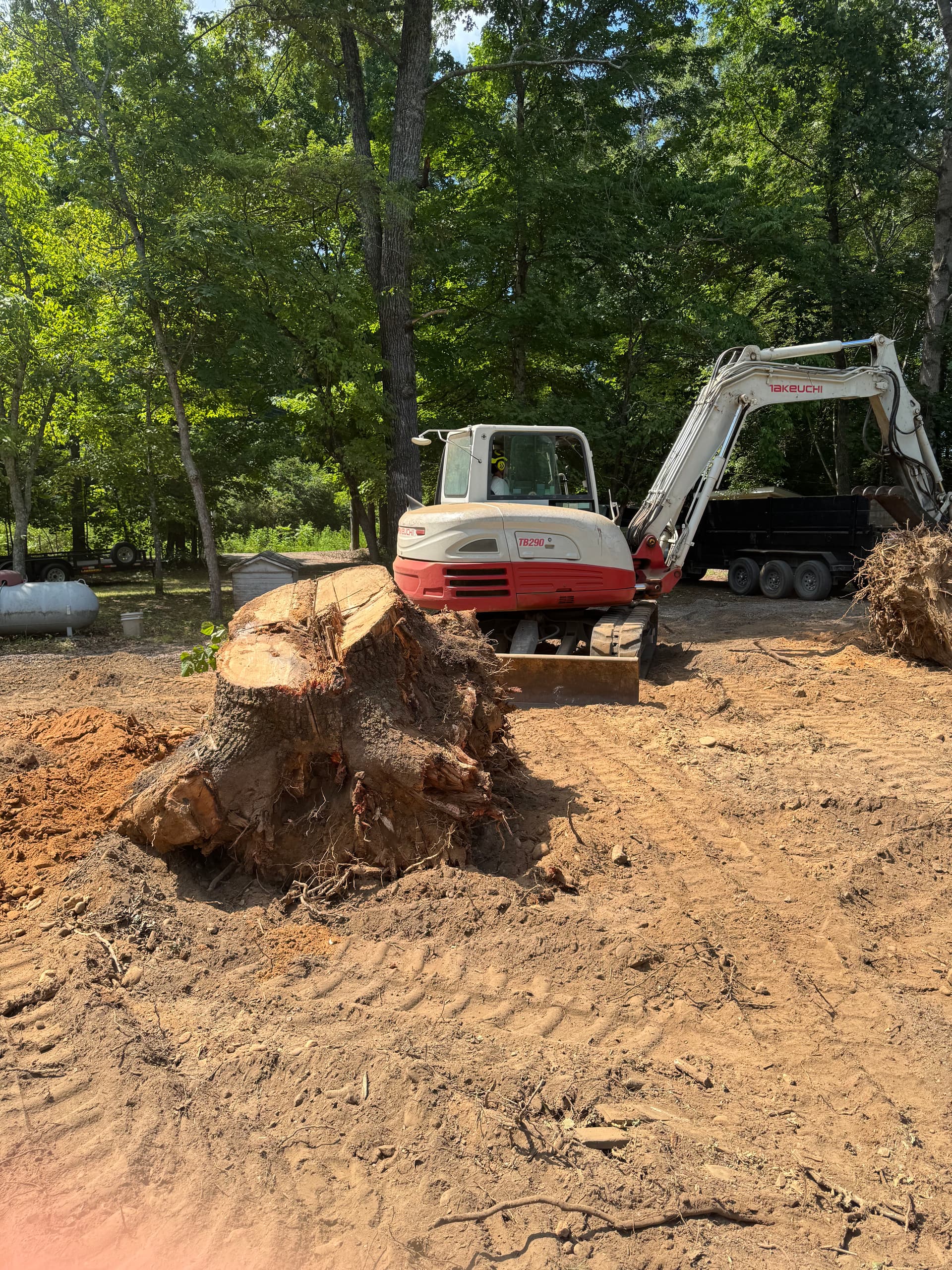 Full Stump and Root Removal for New Construction Site Prep image