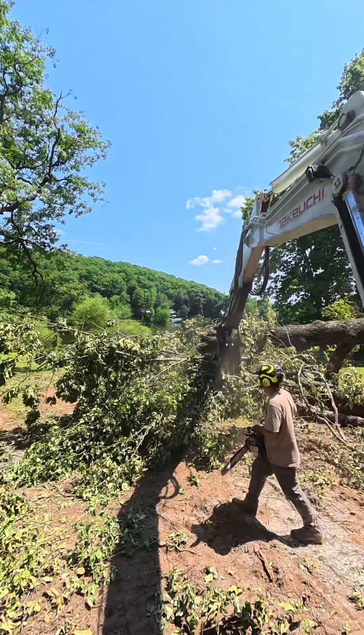 Gallery photos for Land Clearing Done Right - Trees, Logs, and Brush All Handled: Image #1